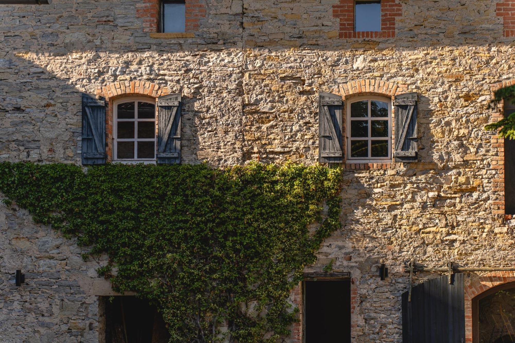 Les Terres Aoyama Saint Julien Les Rosiers Exterior foto